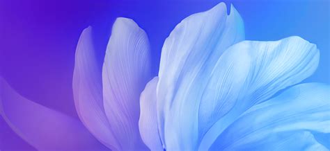 Blue Flower Wallpaper 4k Gradient Aesthetic Vivo Stock