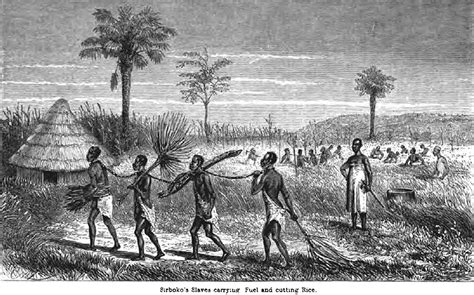 Slave Catchers In Africa