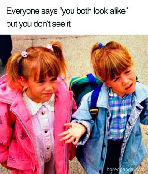 60 Of The Best Sibling Memes Ever Laptrinhx