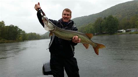 Caught A Tiger Muskellunge On Allegheny River Kinzua Dam Tailrace