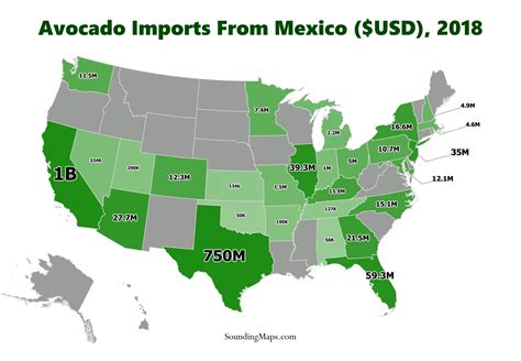 Us Avocado Imports From Mexico Sounding Maps