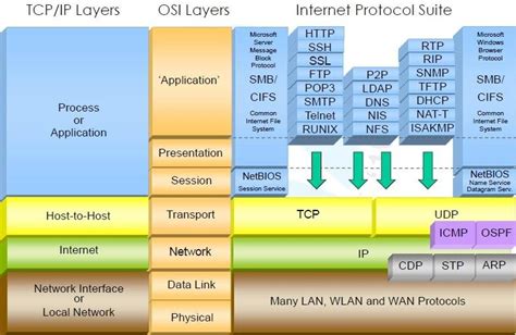 Osi Open Systems Interconnection Protocol Layers Images