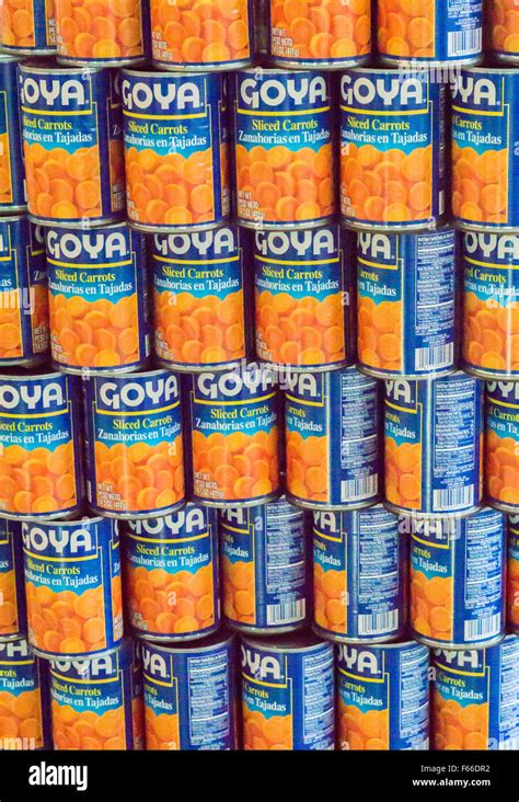 Goya Brand Sliced Carrots Canned Goods In The 23rd Annual Canstruction