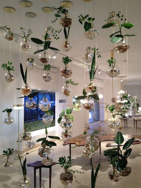 Decoration Ideas Hanging House Plant Wedding Ideas Youve Never Seen