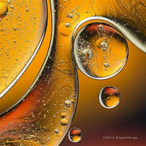 Oil And Water Abstract Photography Macro Photography Macro