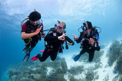 PADI Dive Master Course - develop skills to direct a variety of scuba ...
