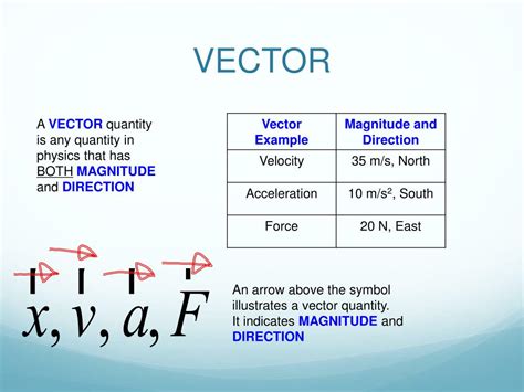 Ppt Vectors Powerpoint Presentation Free Download Id5748376