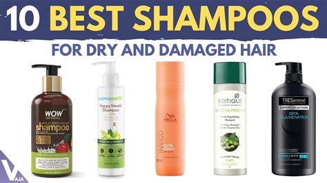 Top 10 Best Shampoos For Dry And Damaged Hair Buyers Guide Youtube