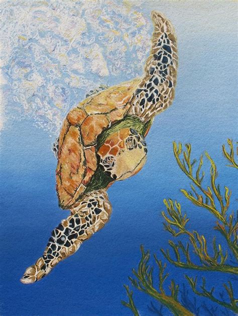 See The Sea Turtle Swim Painting By Arlee Colman Fine Art America