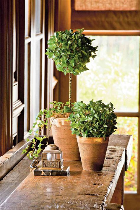Indoor Container Garden Ideas Southern Living