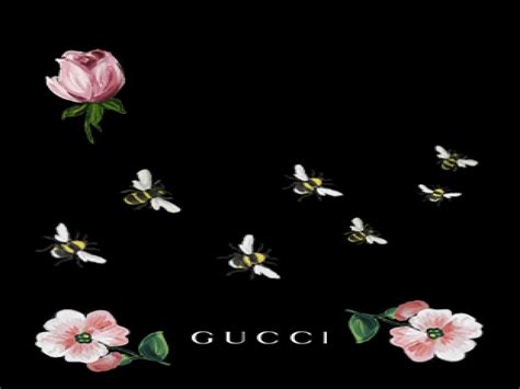 Gucci Rose Pink Wallpapers On Wallpaperdog
