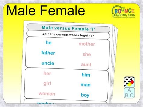 Male And Female Word Forms Masculine And Feminine Word Forms Distance
