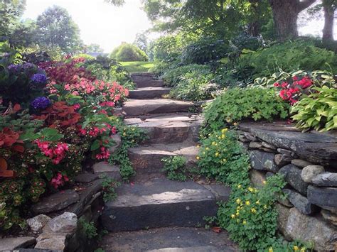 They can take the heat! White Flower Farm | White flower farm, Flower farm ...