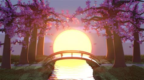 Cherry Blossoms At Sunset X R Wallpaper