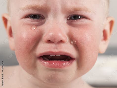 Baby Crying Tears Photos Adobe Stock