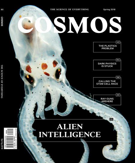 Cosmos Spring 2018 Download Pdf Magazines Magazines Commumity