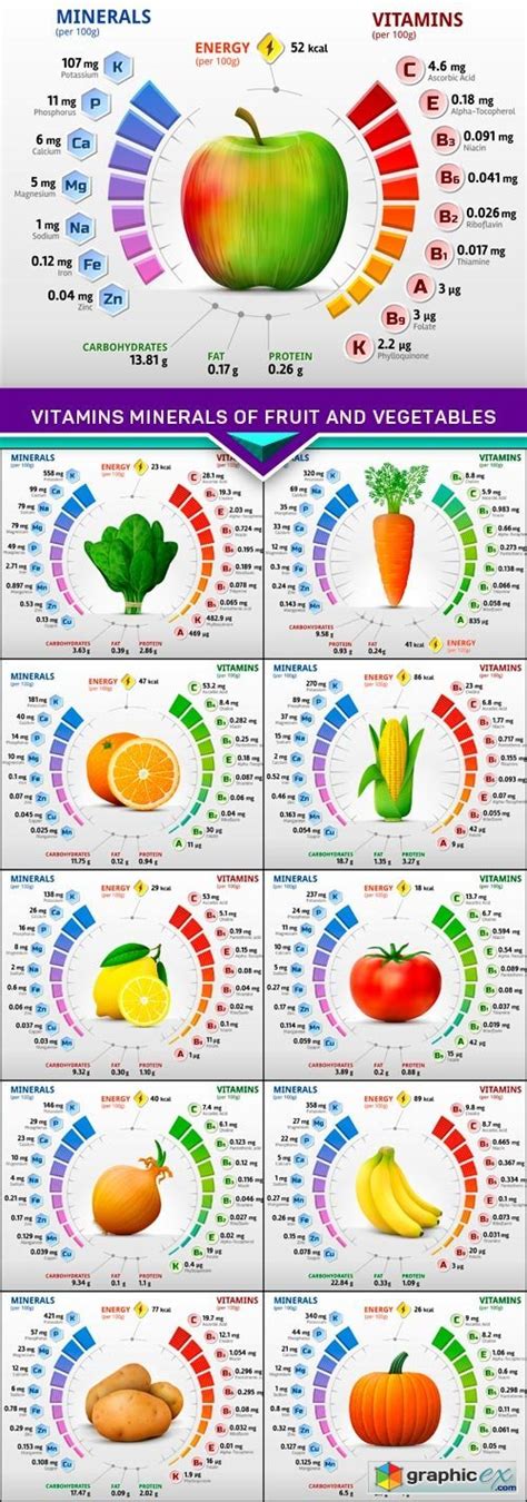 Vitamins Minerals Of Fruit And Vegetables 11x Eps Free Download