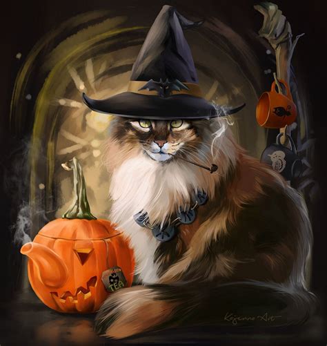 Beautiful Witch Cat Wallpapers Top Free Beautiful Witch Cat