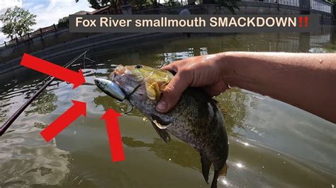 Catching Mid Summer Smallmouth On Topwater‼️ Youtube