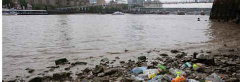 The River Thames Plastic Bottle Pollution New Report Onelessbottle