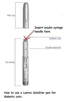 Pzi insulin is only available from a limited number of. How to use SoloStar Pen for Injecting Lantus (Glargine ...