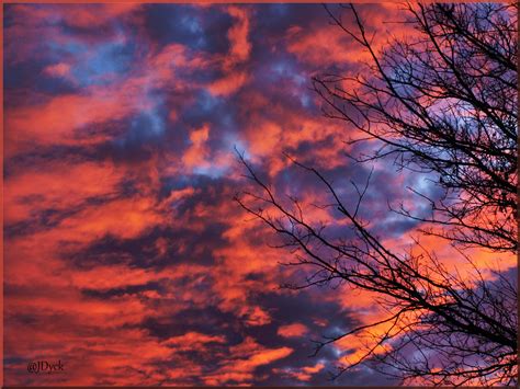 Wallpaper Red Sky At Morning Afterglow Cloud Nature Branch