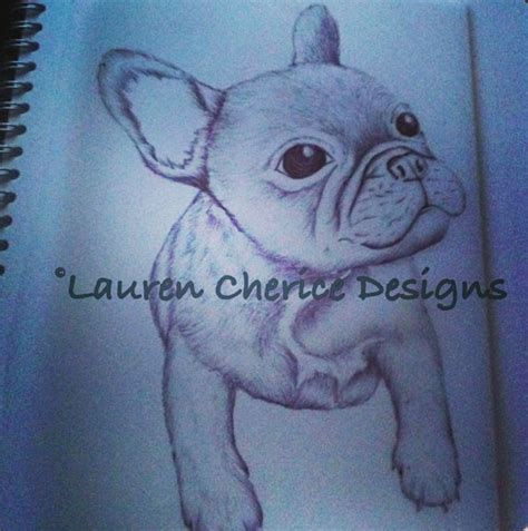Lauren Cherice Designs My Drawing Of Dylan