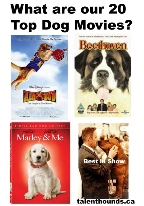 What Are Our 20 Top Dog Movies Talent Hounds
