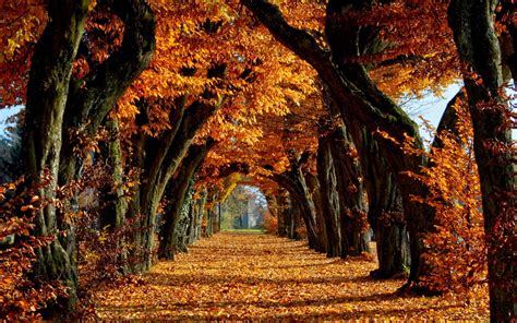 Fall Screensavers Wallpapers Hd Wallpaper Collections