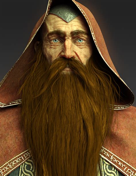 Wise Wizard Beard For Genesis 8 Males Daz 3d