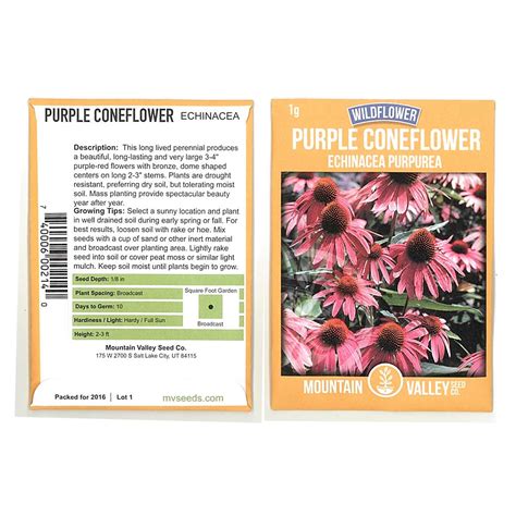 Purple Coneflower Wild Flower Seeds 1 Gram Packet Wildflower Garden