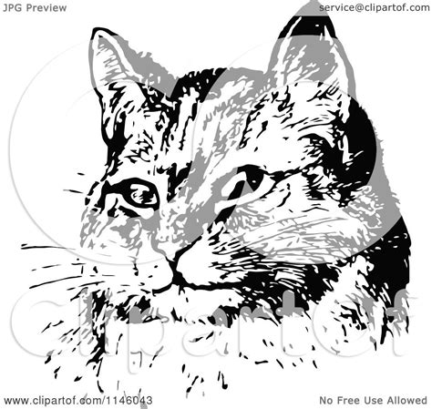 Clipart Of A Retro Vintage Black And White Sitting Cat