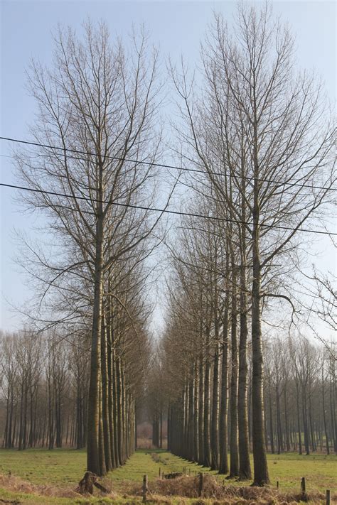 The belgium area code table below shows the various city codes for belgium. Tongeren - Belgium