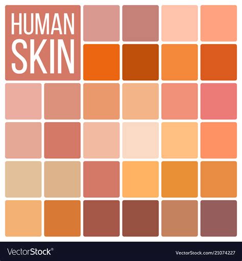 Gallery Of Vector Human Skin Color Palette Swatches Eps Vector Human