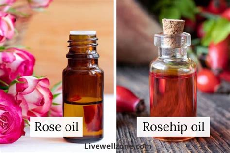 Rose Oil Vs Rosehip Oil For Skin And Hair Benefits Which Is Better