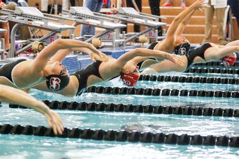 women s swim and dive record first ever win against arizona the daily utah chronicle