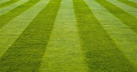 Lawn aerator a lawn aerator is a garden tool that pokes air holes into the turf. How To Make Lawn Mowing Patterns In Your Yard | Urban Splatter