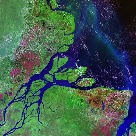 Amazon River Delta Map