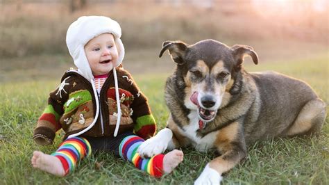Funny Babies Laughing Hysterically At Dogs Compilation 2015 Youtube