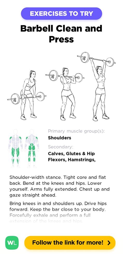 Barbell Clean And Press Is A Gym Work Out Exercise That Targets