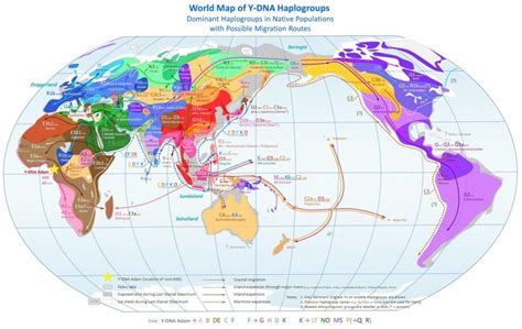 World Map Of Y Dna Haplogroups Vivid Maps