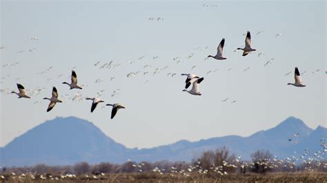52 winter wonderland photos of California, the West: Stockton Record
