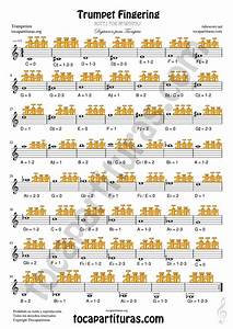 Tubescore Trumpet Chart Easy Sheet Music For Notes