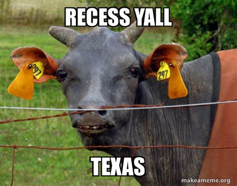 Recess Yall Texas Hairless Cow Make A Meme