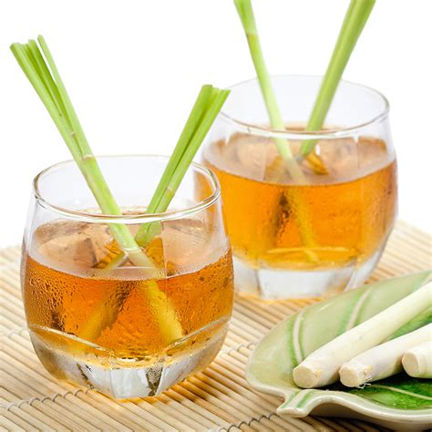Crafters Choice™ Lemongrass Green Tea Fragrance Oil 425 ...
