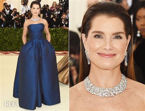 Brooke Shields In Zac Posen 2018 Met Gala Red Carpet Fashion Awards