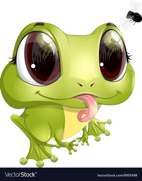 Beautiful Frog With Big Eyes Royalty Free Vector Image