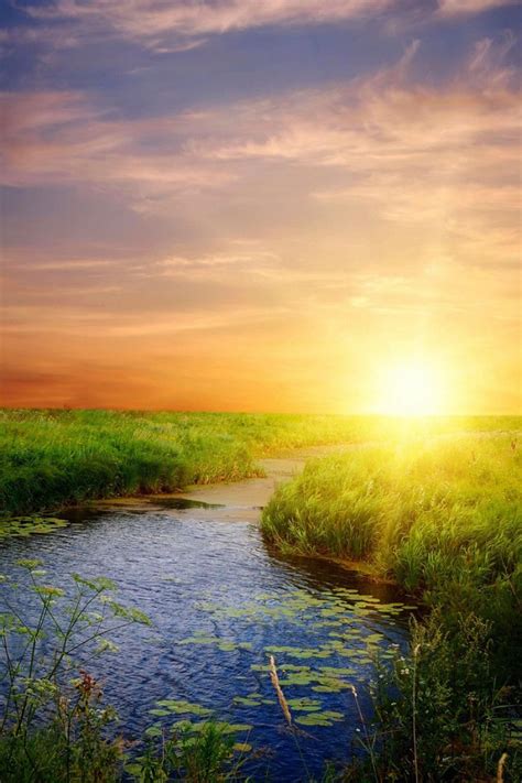 Good Morning Real Beautiful Nature Day The Mobile Wallpaper