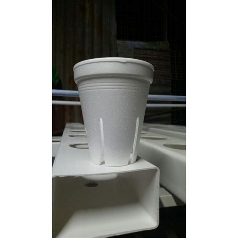Styro Cup 8oz With Holes For Hydroponics 25pcs Shopee Philippines