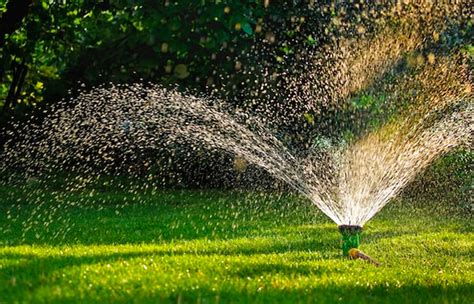 How To Properly Water Your Lawn